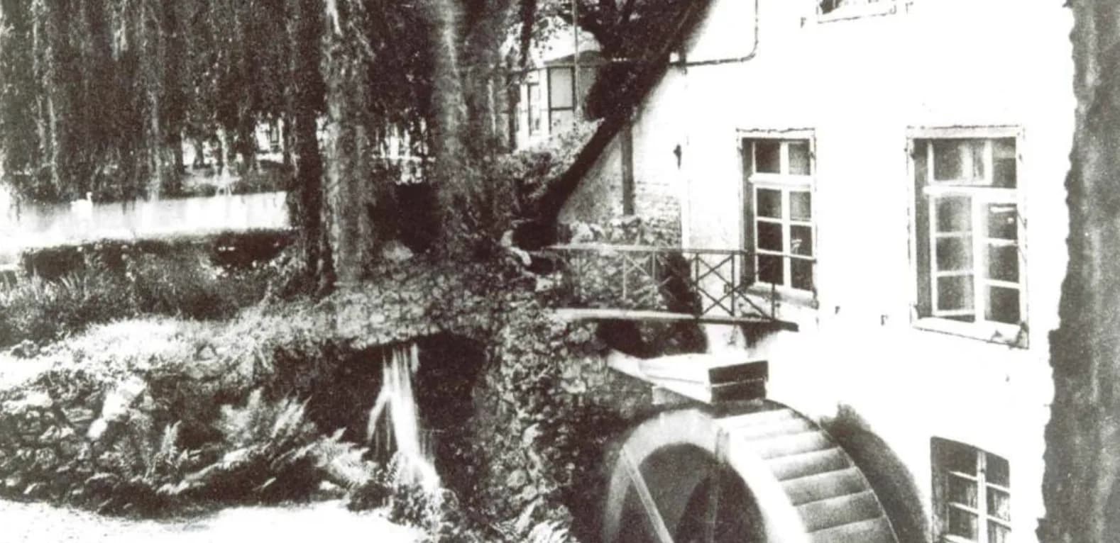Die Anfänge